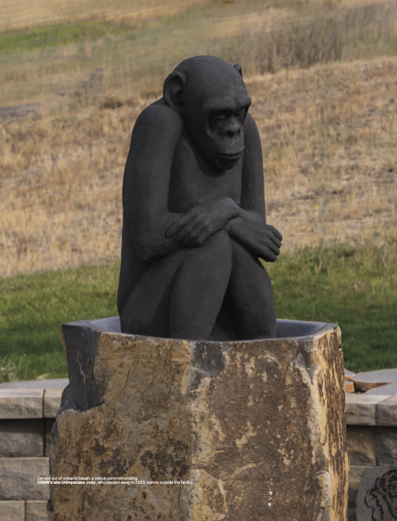 Chimp-5 (dragged).png