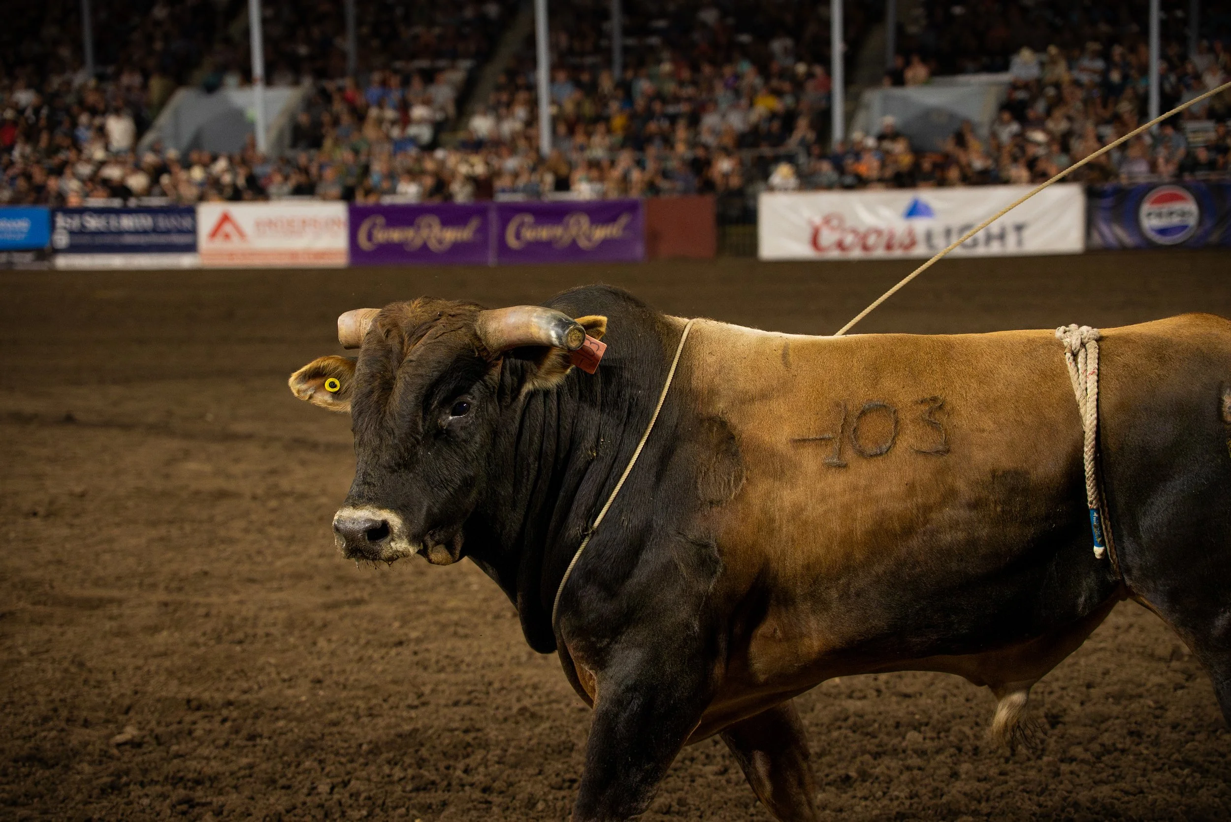 EllensburgRodeo-017.jpg