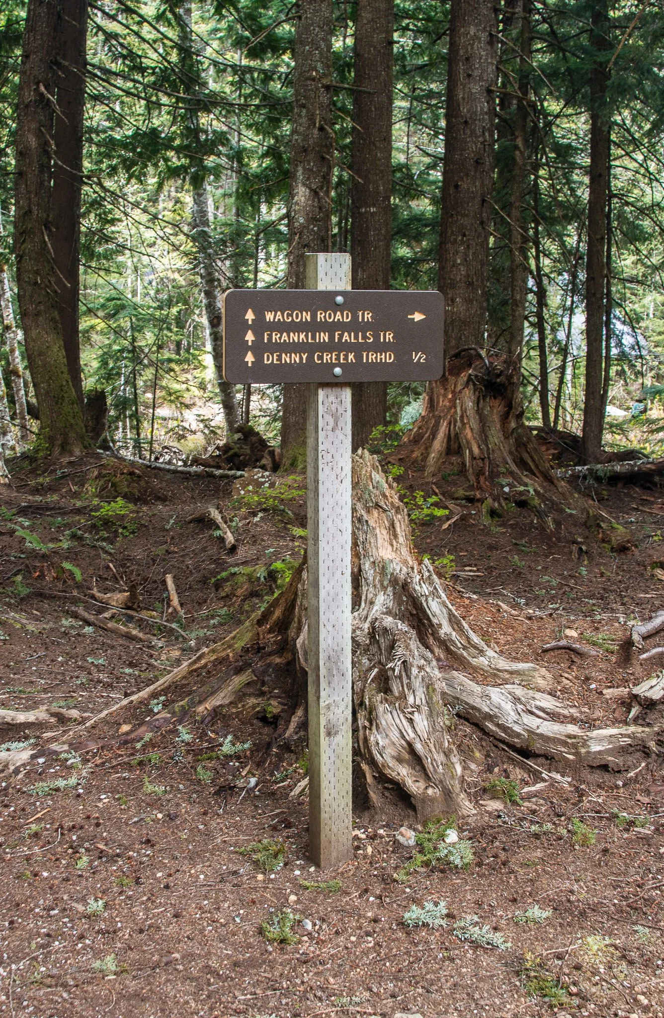 _MG_0419.jpg