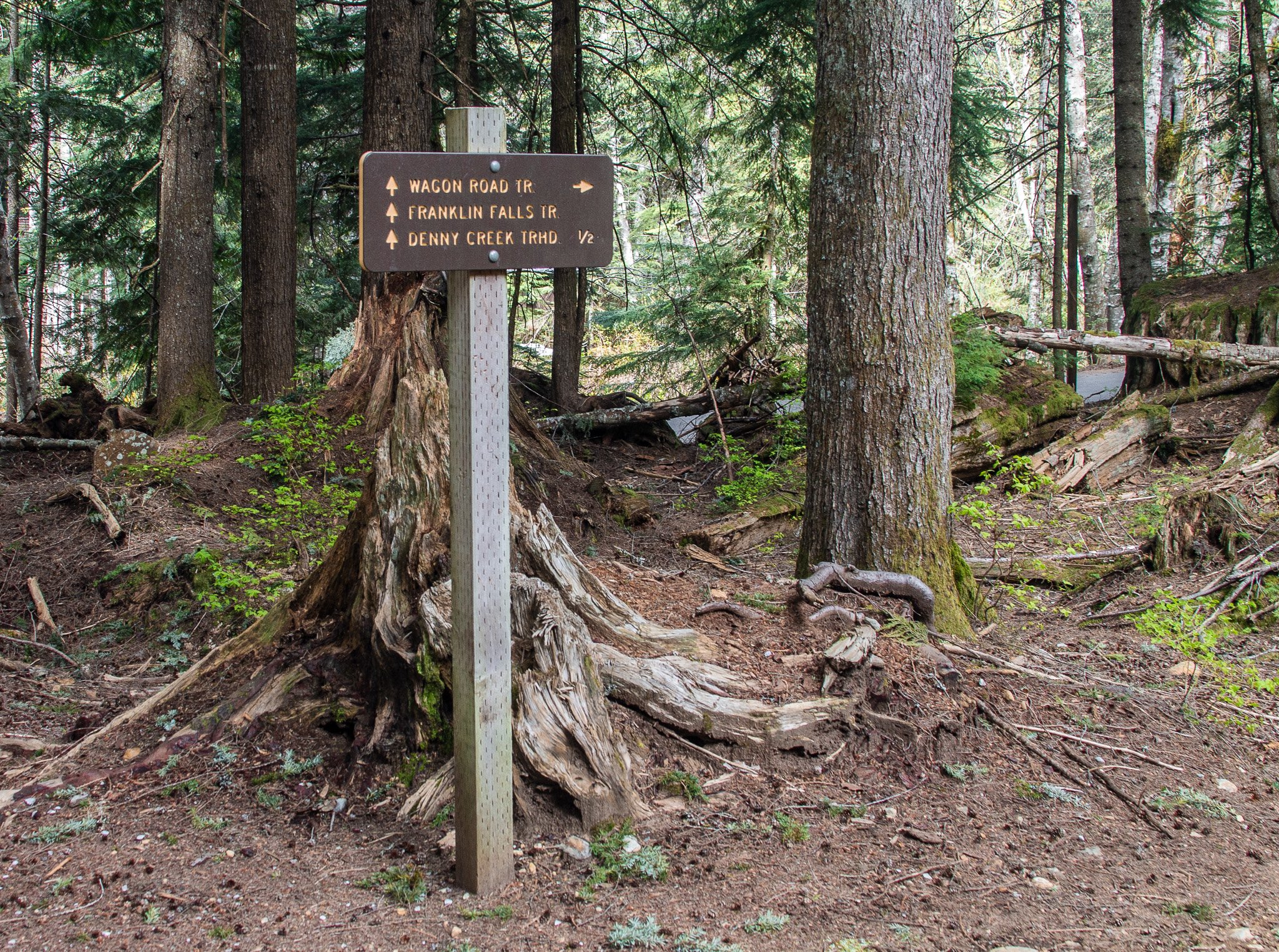 _MG_0421.jpg