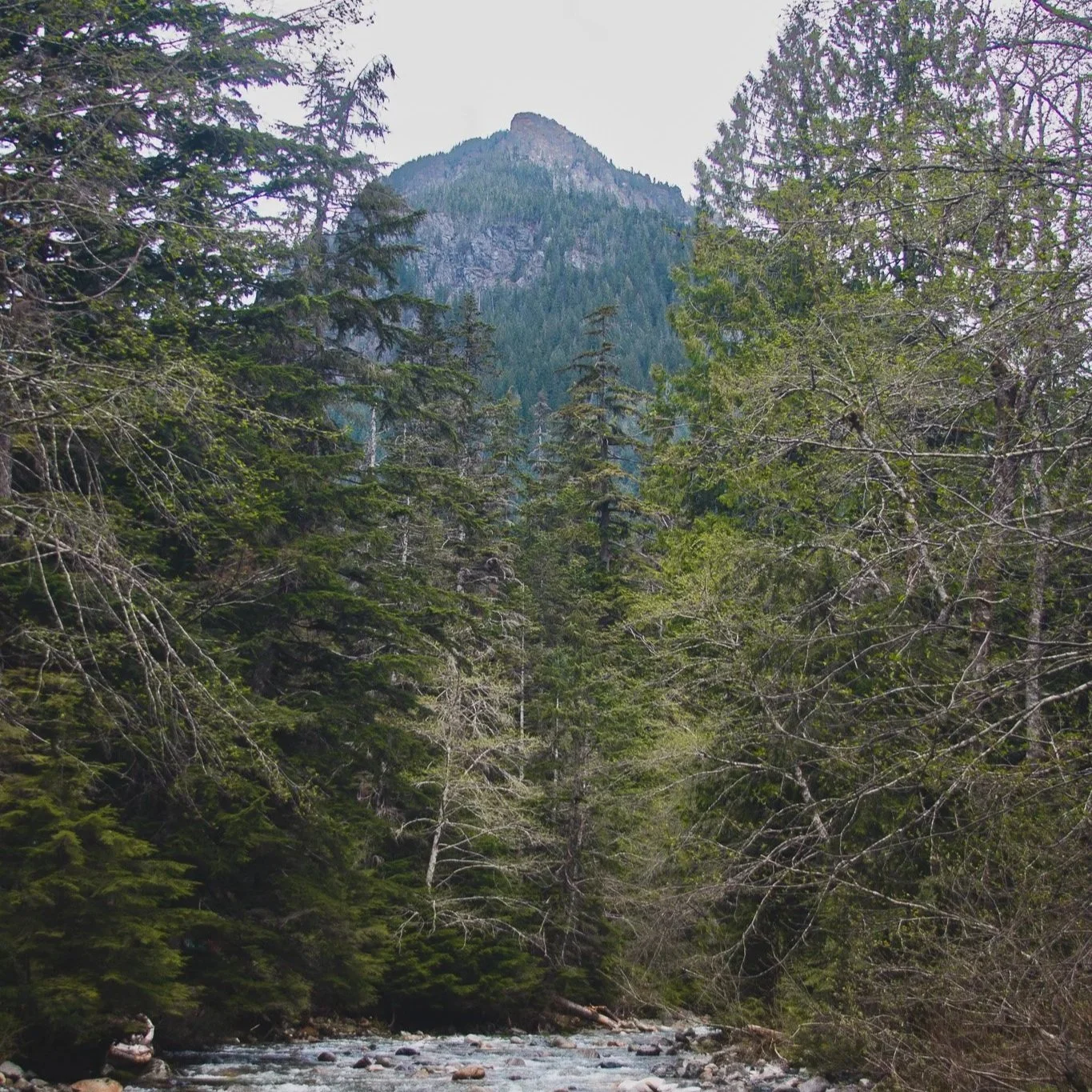 Leave No Trace: Get the most from hiking and take care of the environment