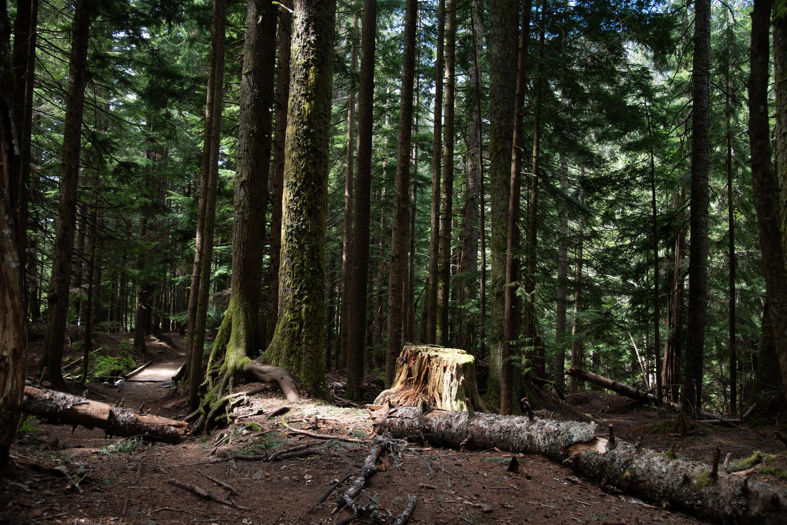 _DSC7802.jpg
