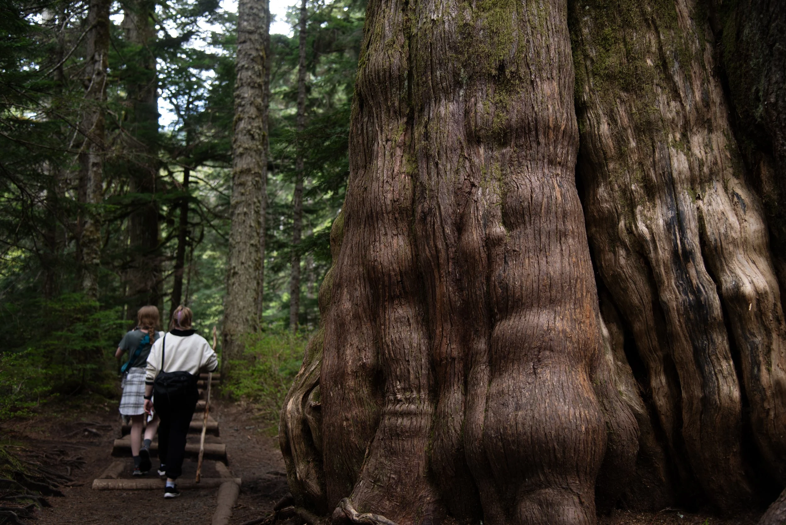 _DSC7871.jpg