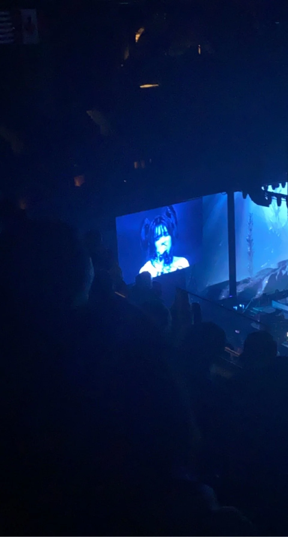 Billie Eilish_s _Happier Than Ever_ tour concert_ photo by Natalie Arthur2.jpg
