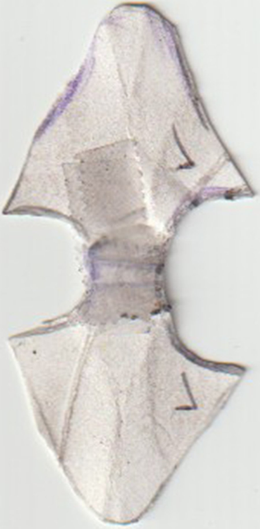 Scan_20260324.jpg