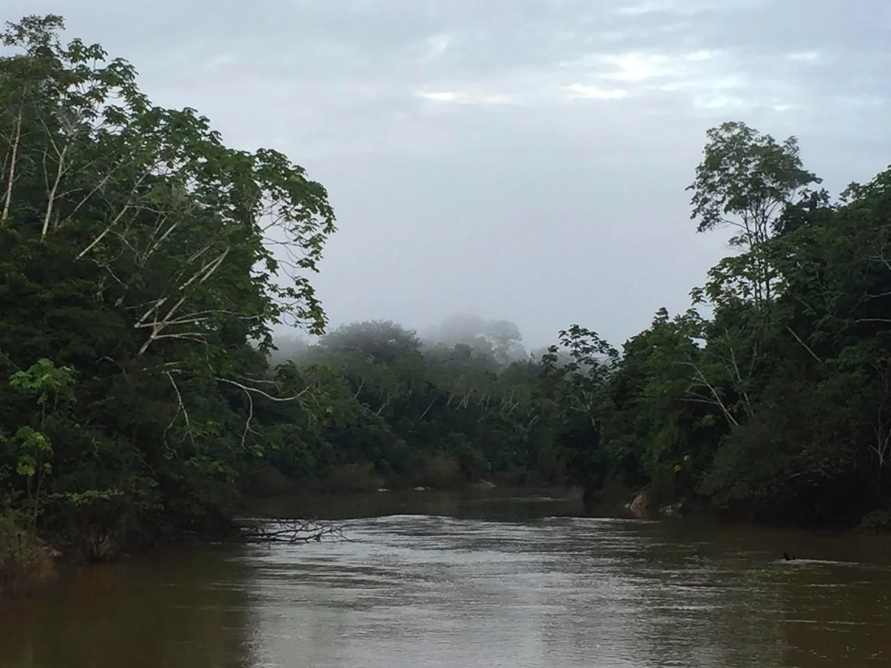 Early morning on the Rio Eiru.