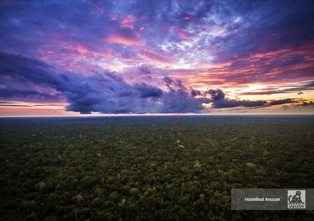 Our drone captures the magnificence of this majestic ecosystem from Burreton community on the Rio Eiru