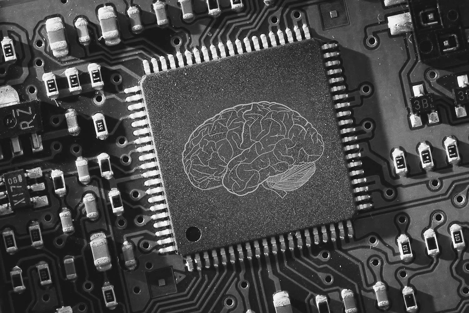Brain-Compute-2bw.jpg