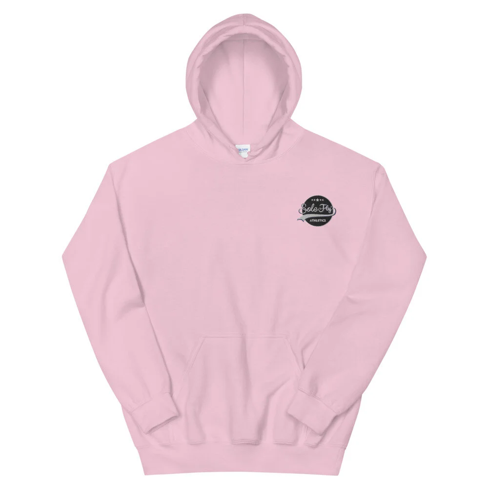 unisex-heavy-blend-hoodie-light-pink-front-6026aab621aea.jpg