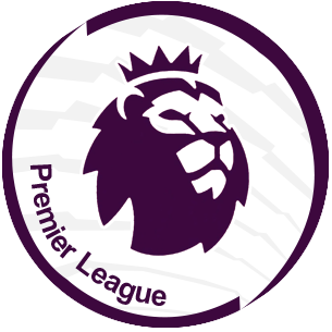 The new Premier League arm patch to be worn from 2016/17.