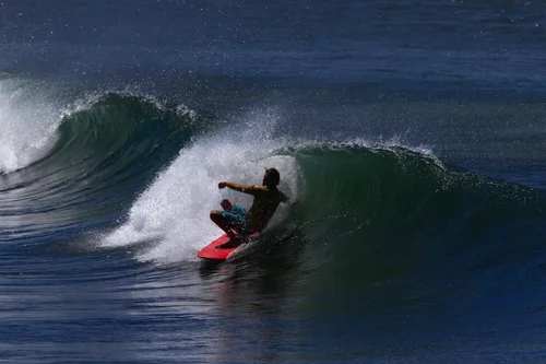 The Bonzer — Barahona Surfboards