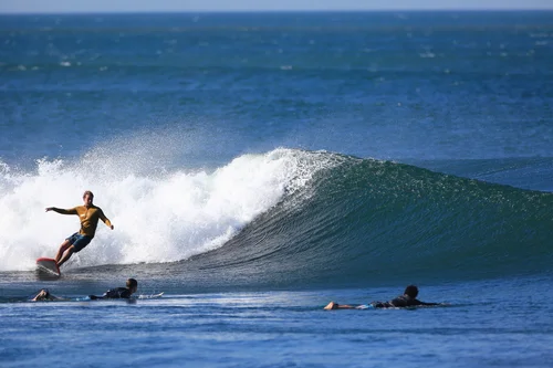 The Bonzer — Barahona Surfboards