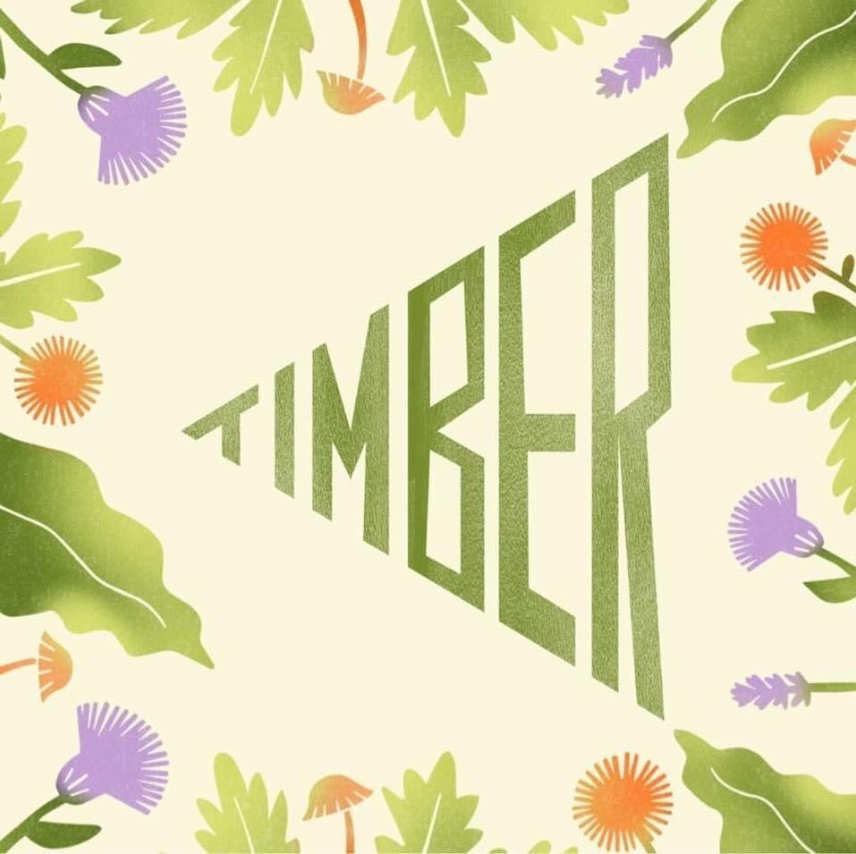 TIMBER! This July I will be curating a programme of creative happenings at one of the UK&rsquo;s most incredible nature festivals @timberfestival. After performing for a number of years on the wonderful Eyrie Stage, the lovely folks at Timber asked i