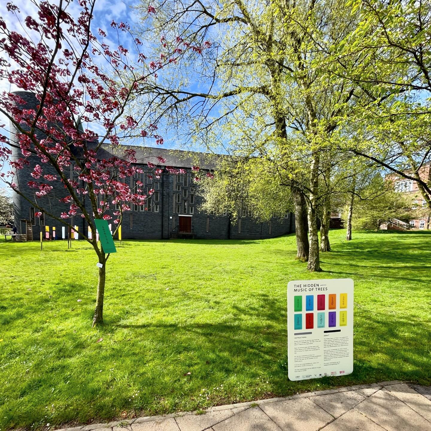 Currently at @keeleuniversity for @appetite_stoke #WhatOnEarth festival. The Hidden Music of Trees is here over the weekend and Monday with a focus on music generated by Cherry trees. Keele University has an incredibly stunning national collection of