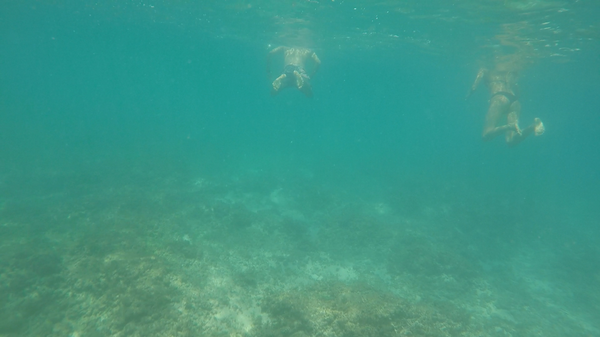 Day Trip Series: Curú Wildlife Refuge