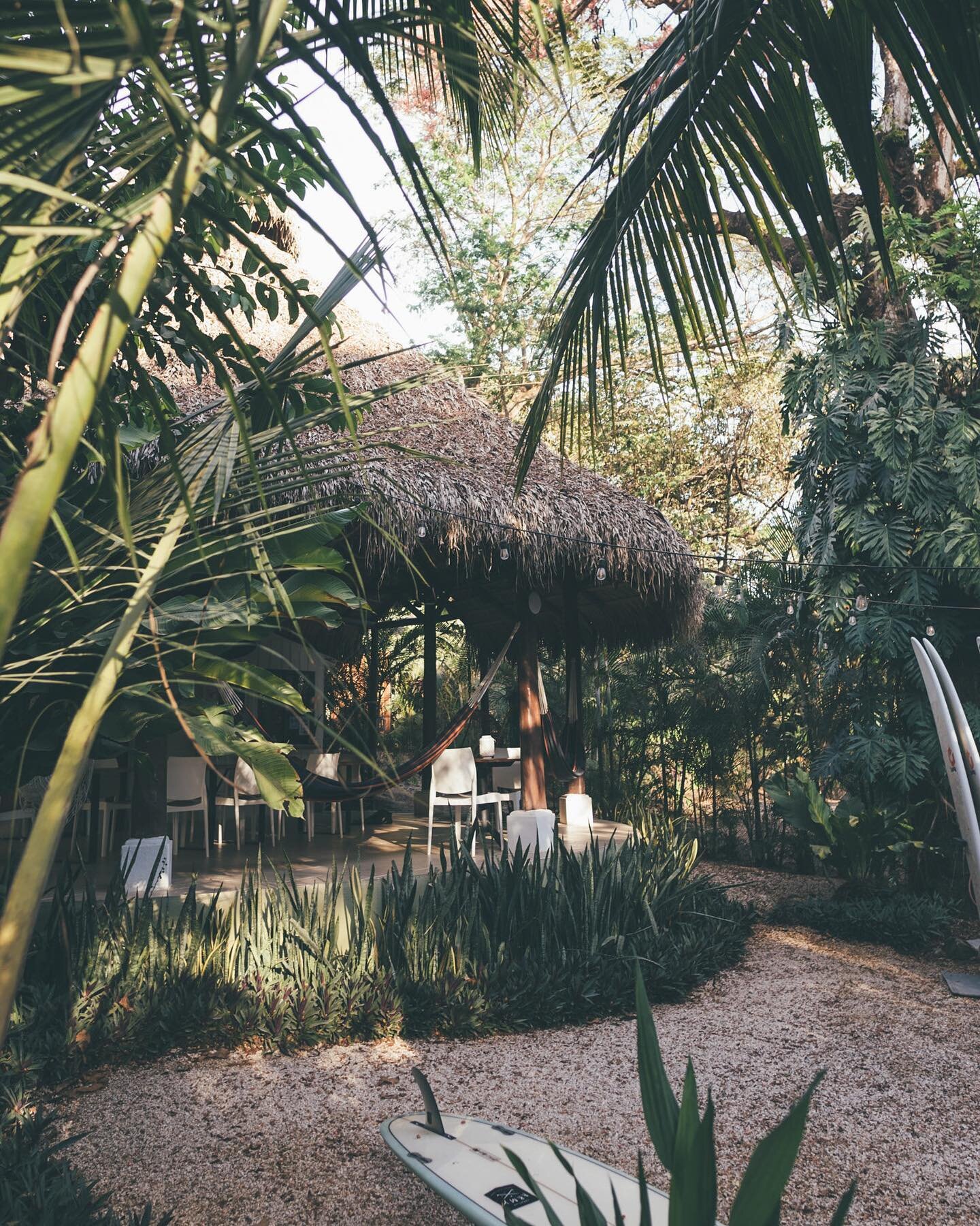 Afternoon light peeking in // Post-surf and yoga, the afternoon hours seem to stand still. It&rsquo;s the perfect time to pick your favourite hammock, chill out, and listen to the sounds of the jungle all around you ✨