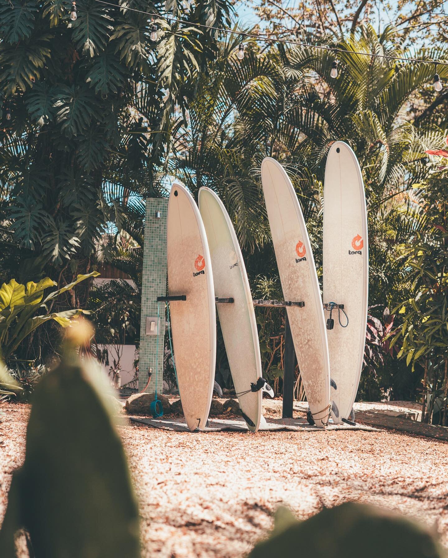 Summer Sunday // from short to long boards, and everything in-between, we&rsquo;ve got you covered for condition and skill level with our quiver of @torqsurfboards
