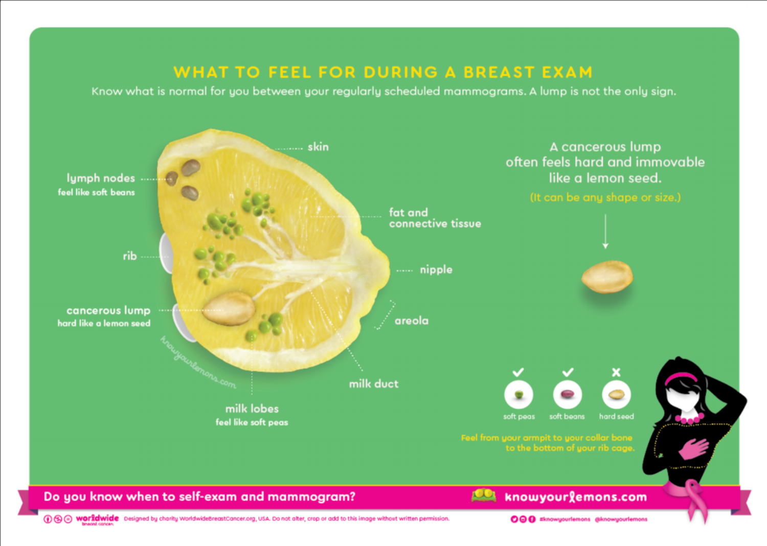 Photo by Worldwide Breast Cancer #KnowYourLemons