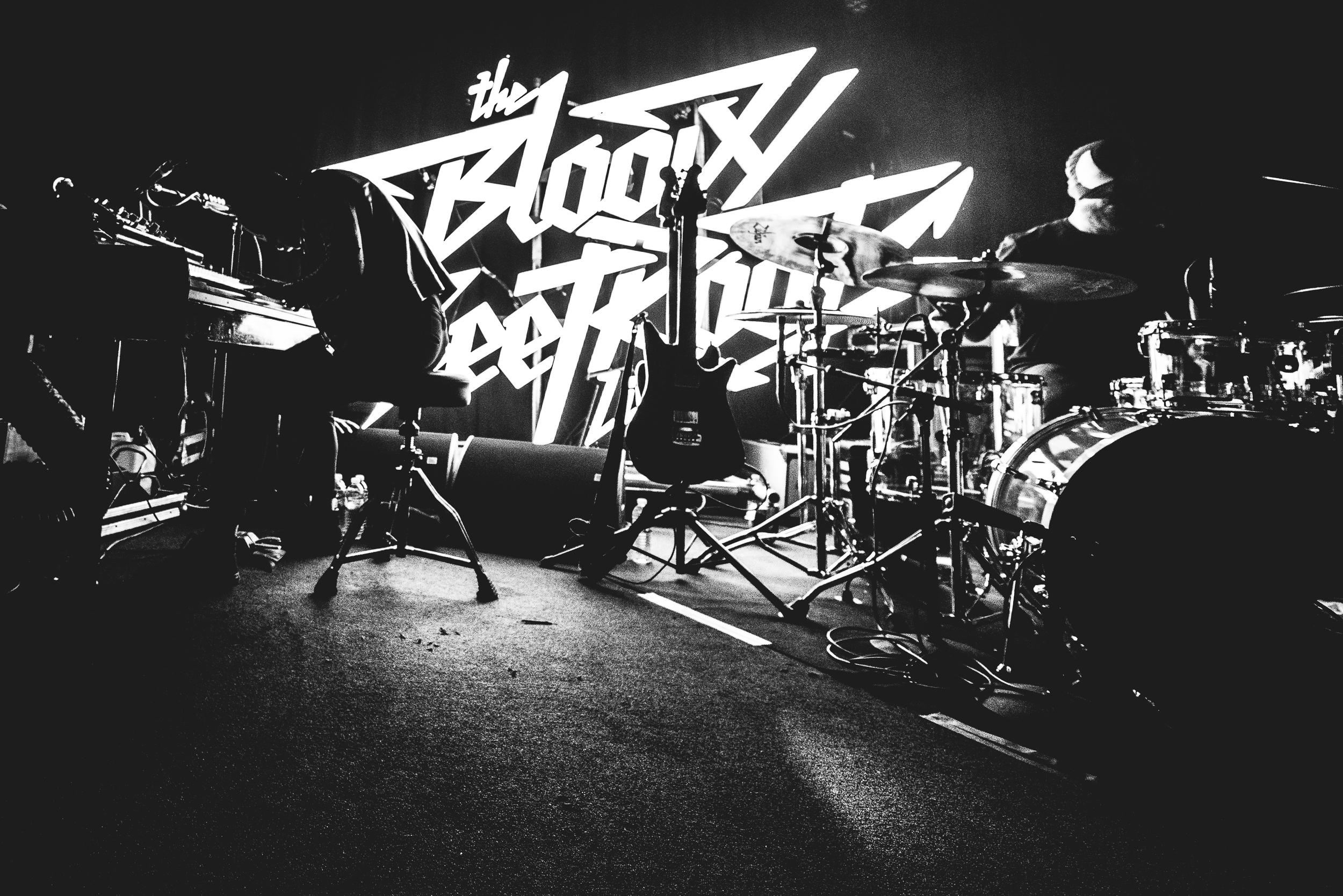 The Bloody Beetroots, Photo Alessio Neri-001-7.jpg