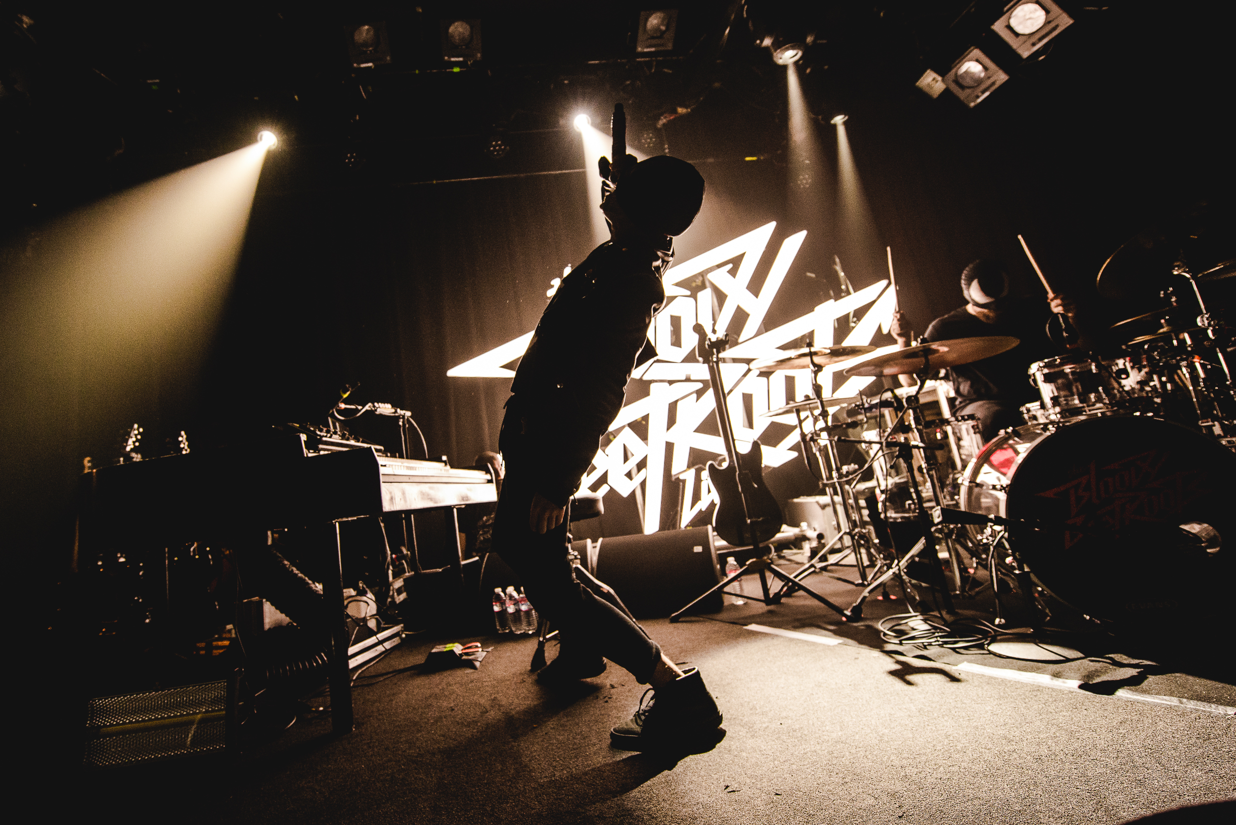 The Bloody Beetroots, Photo Alessio Neri-001-6.jpg