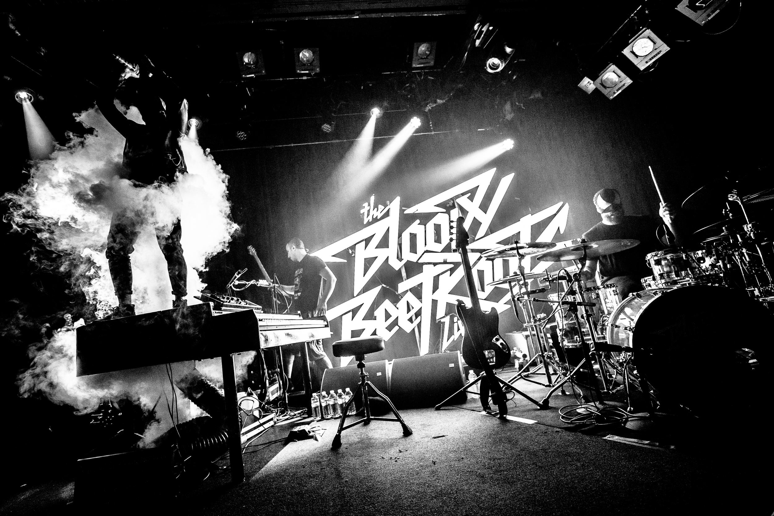 The Bloody Beetroots, Photo Alessio Neri-001-14.jpg