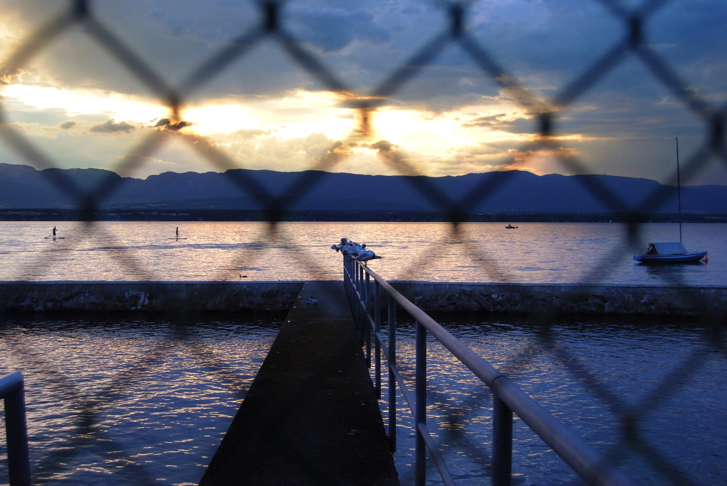 The Lake - Sophie Smyke
