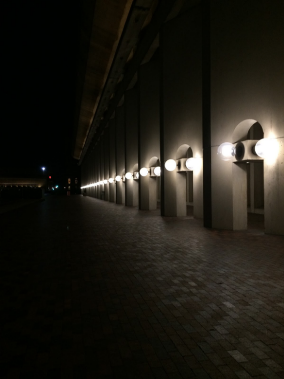 Lights by the Symphony - Mary DeVellis