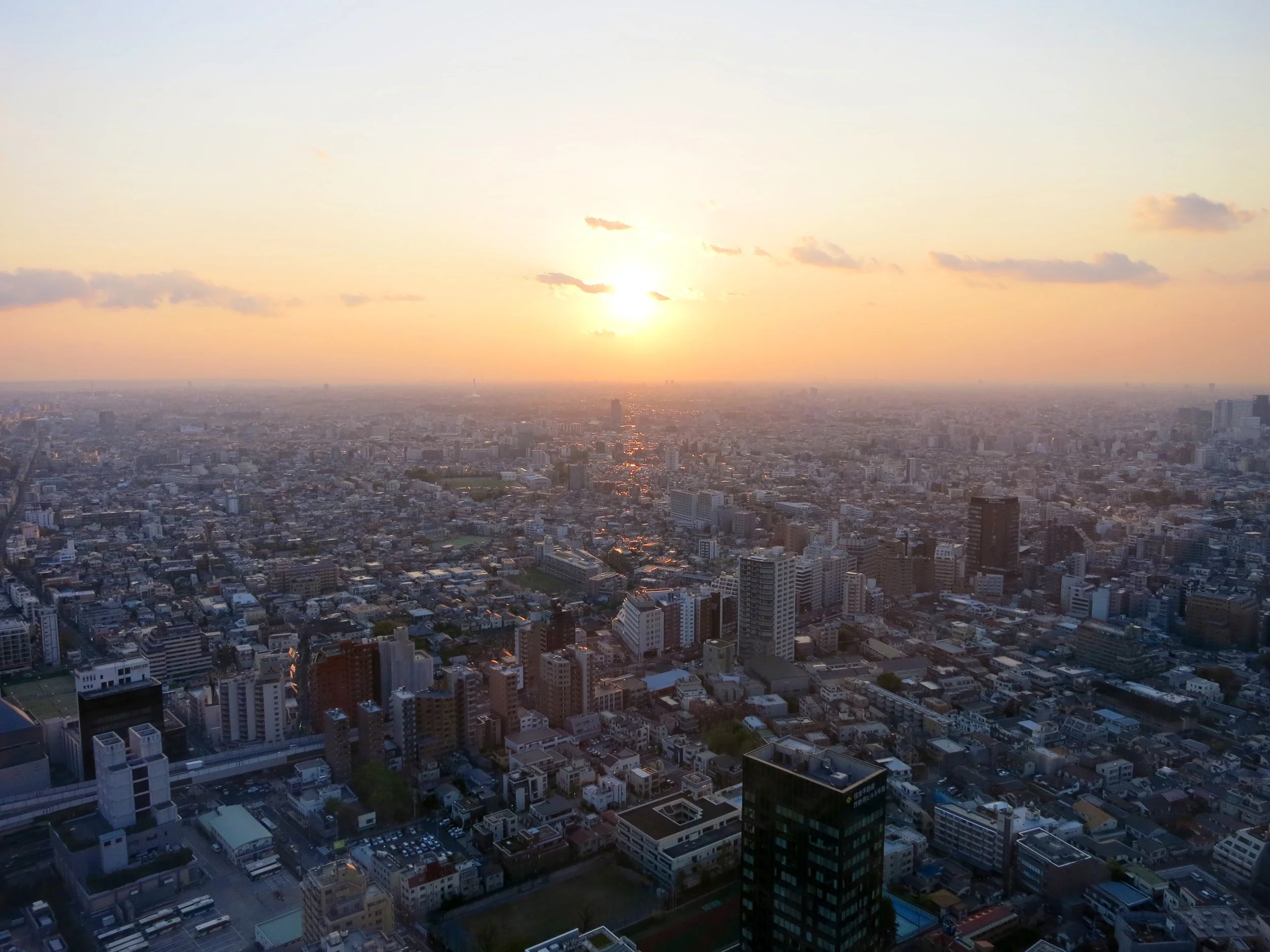 Tokyo Skyline - Chloe Fandetti