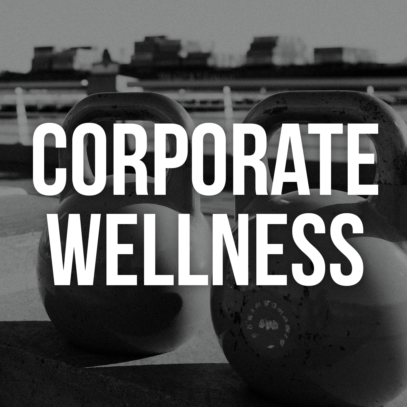 Body Mechanix Fitness, Corporate Wellness