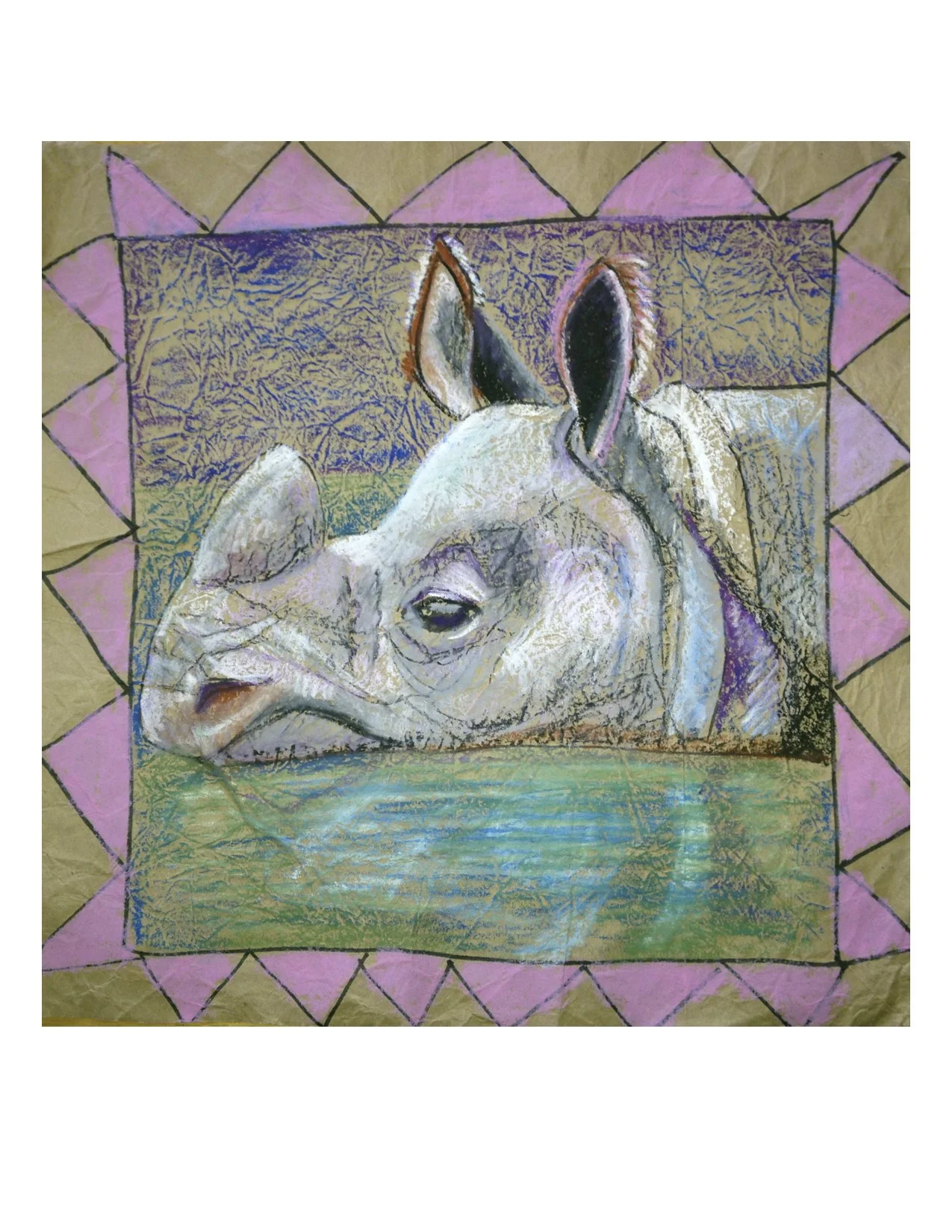 Rhino on hide jpeg.jpg