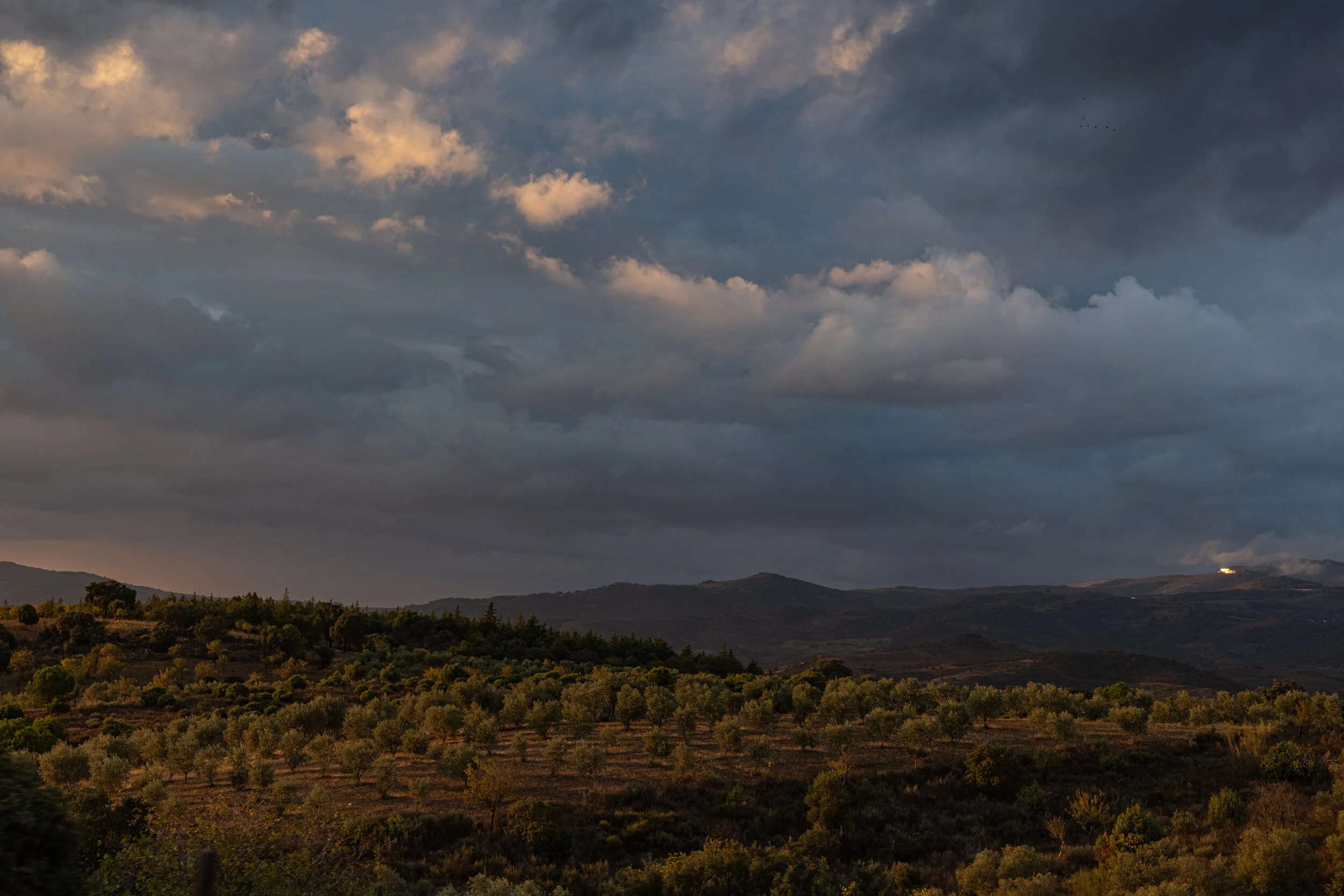 292A7354.JPG
