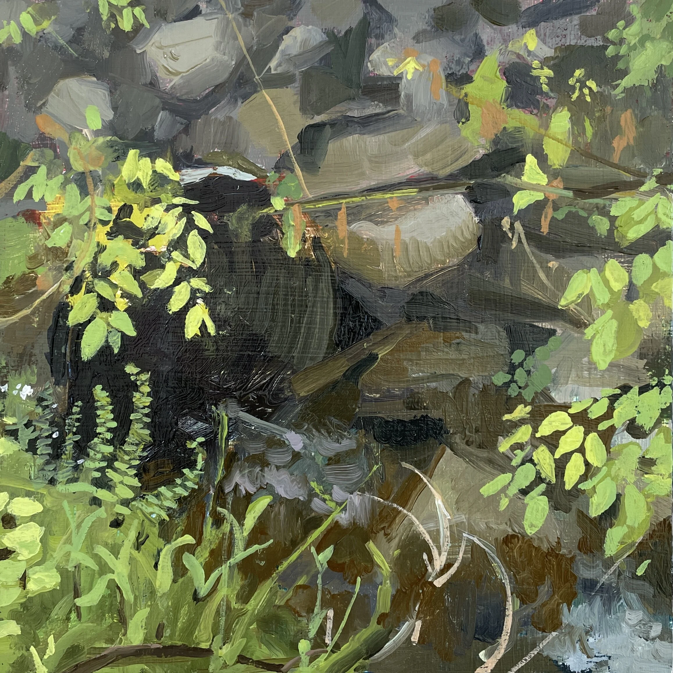 9984392F-F2C9-4BD3-A391-32544751E959