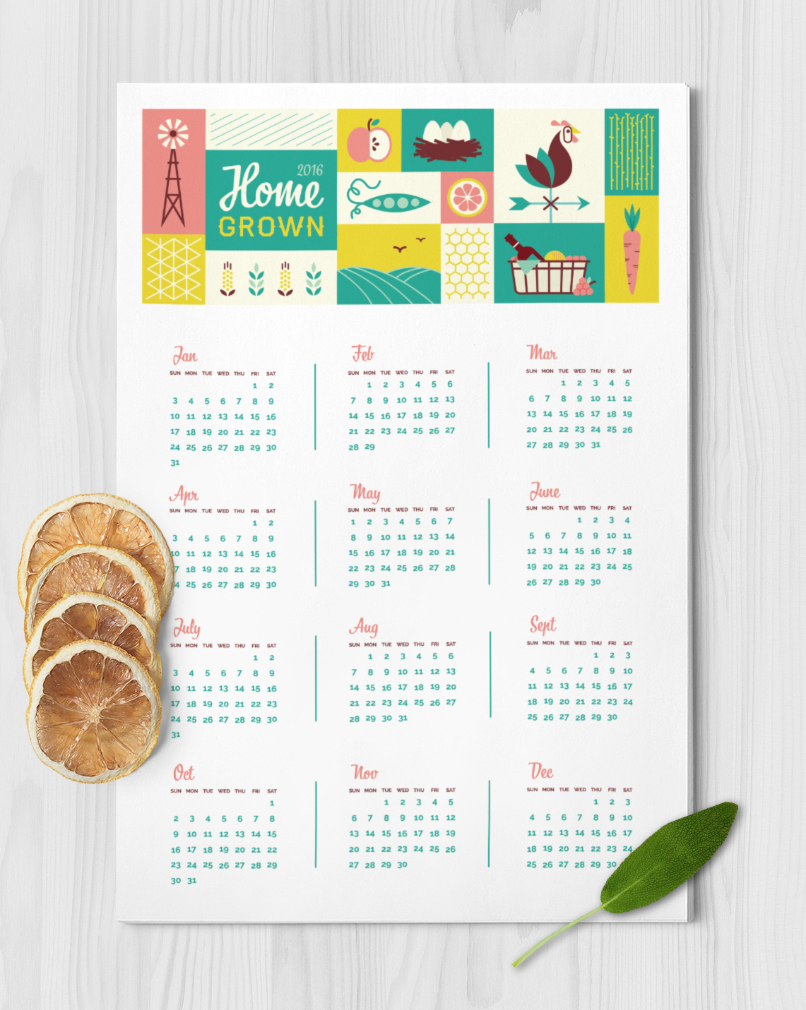 Home Grown 2016 calendar / personal project / 2015