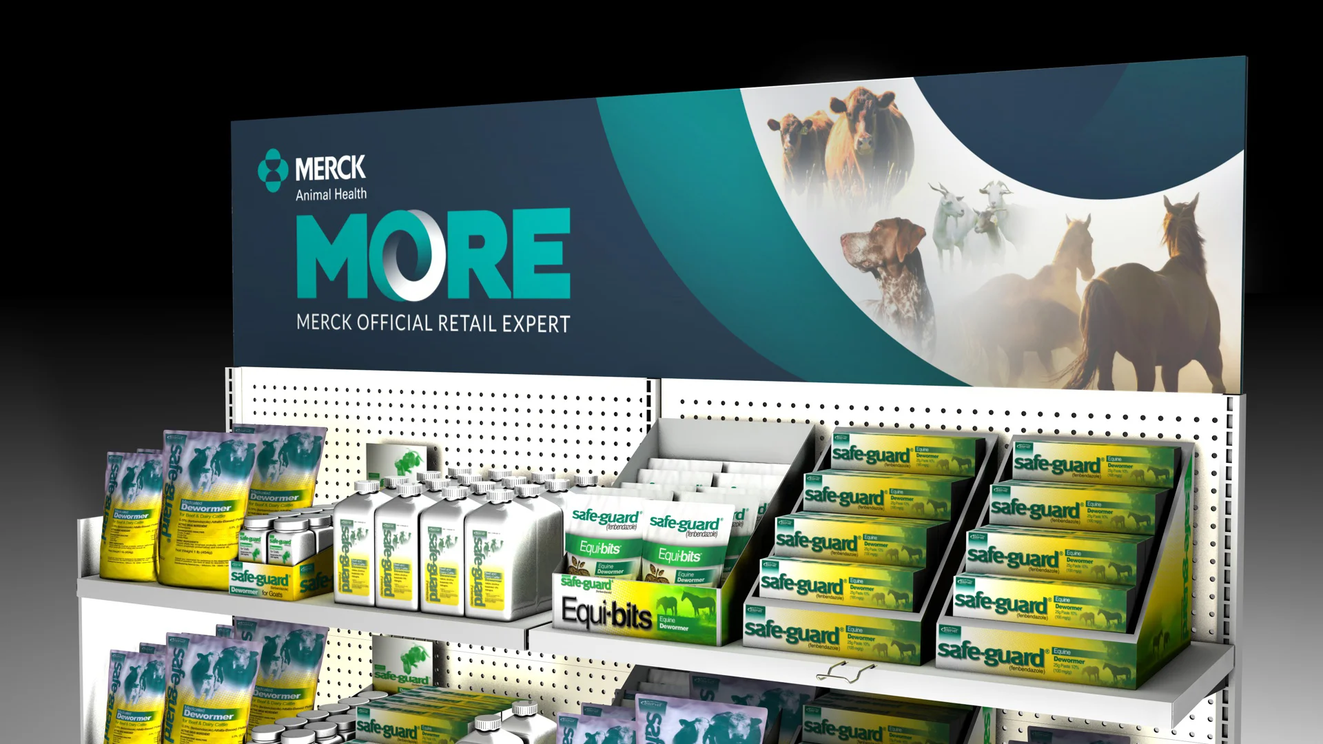 Header on lozier.jpg