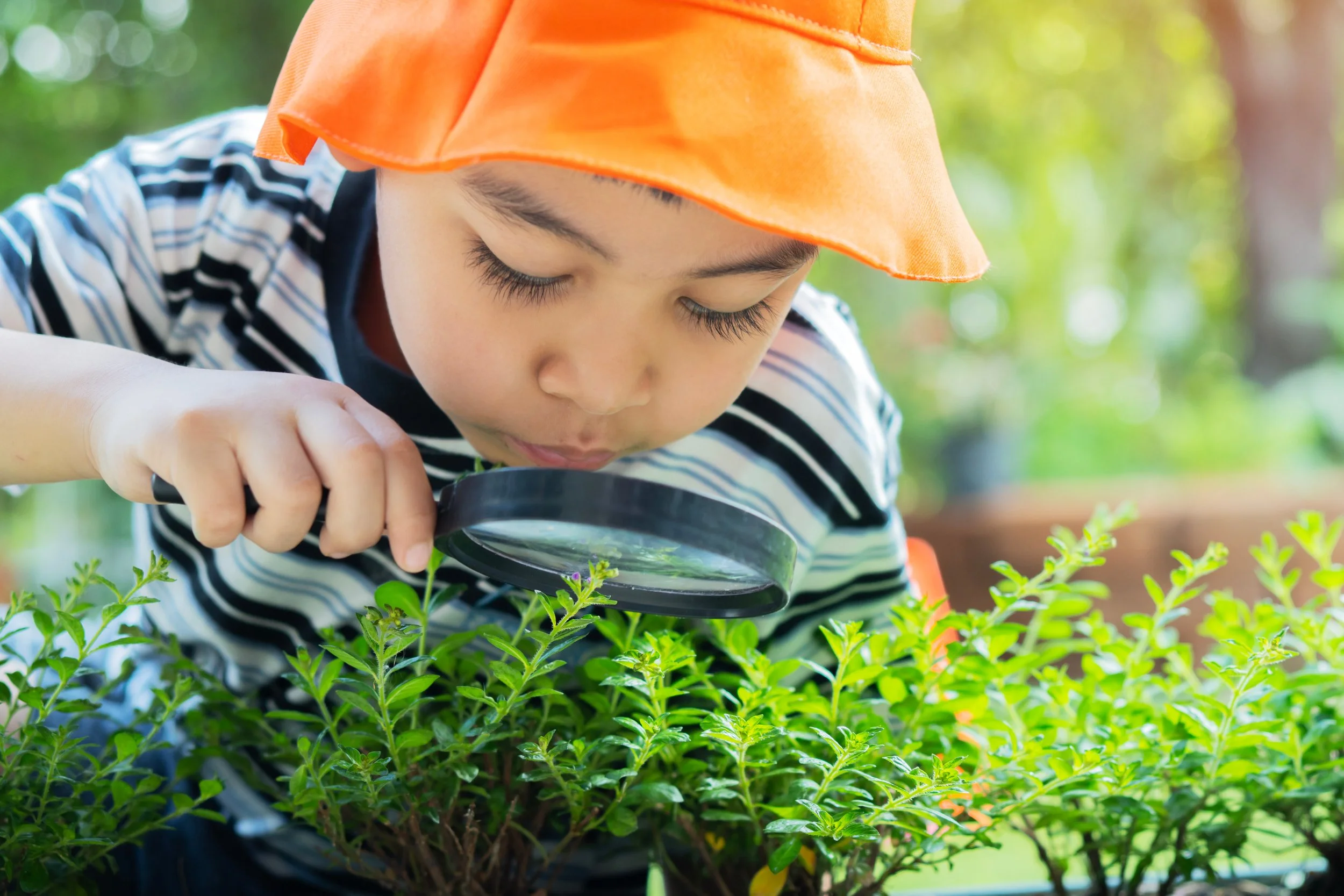 Preschool child engaged in a hands-on early learning activity