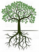roots.png