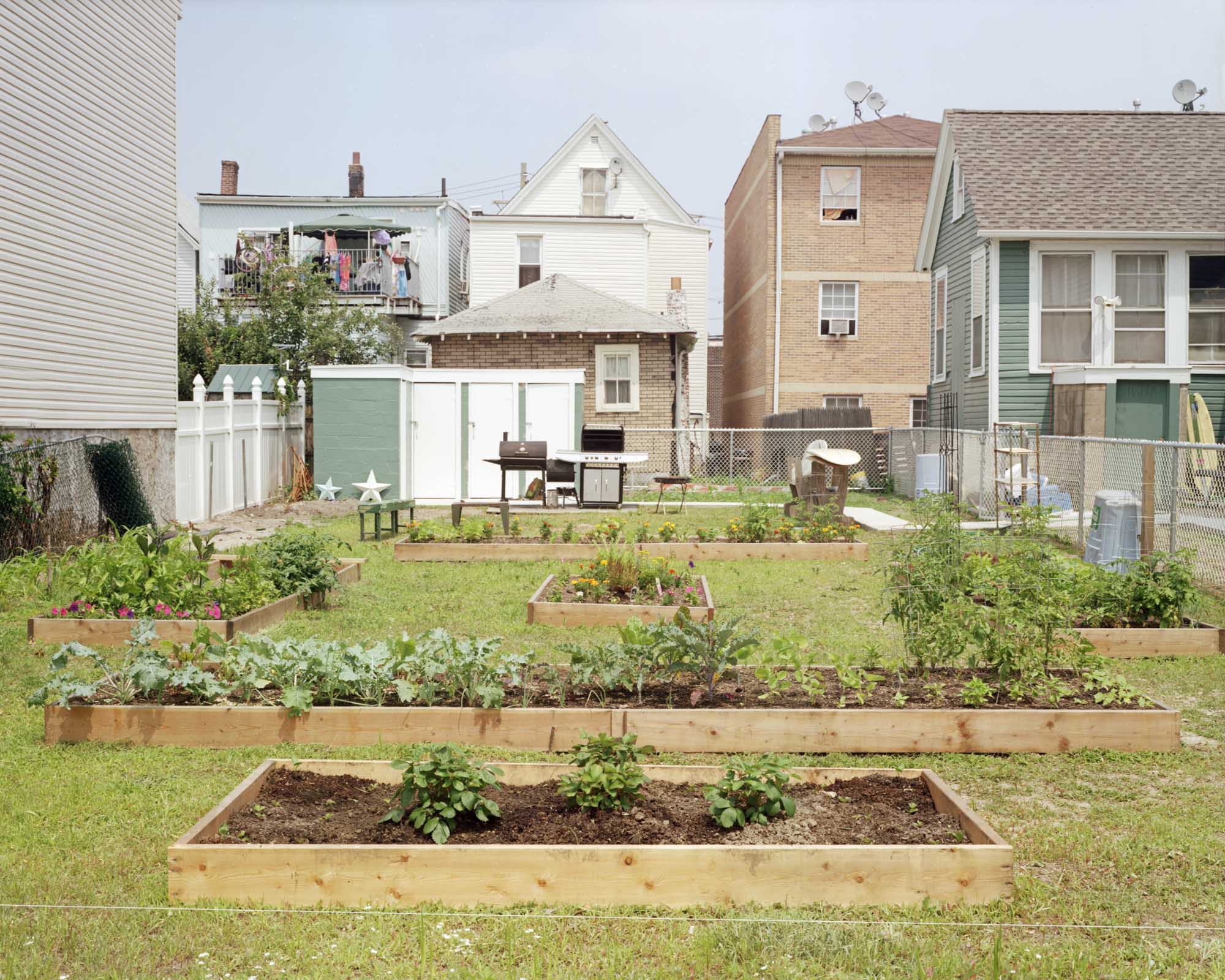 urban-agriculture-4.jpg