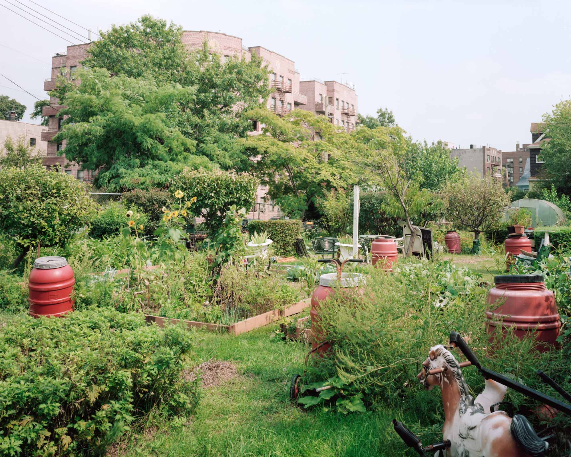 urban-agriculture-11.jpg