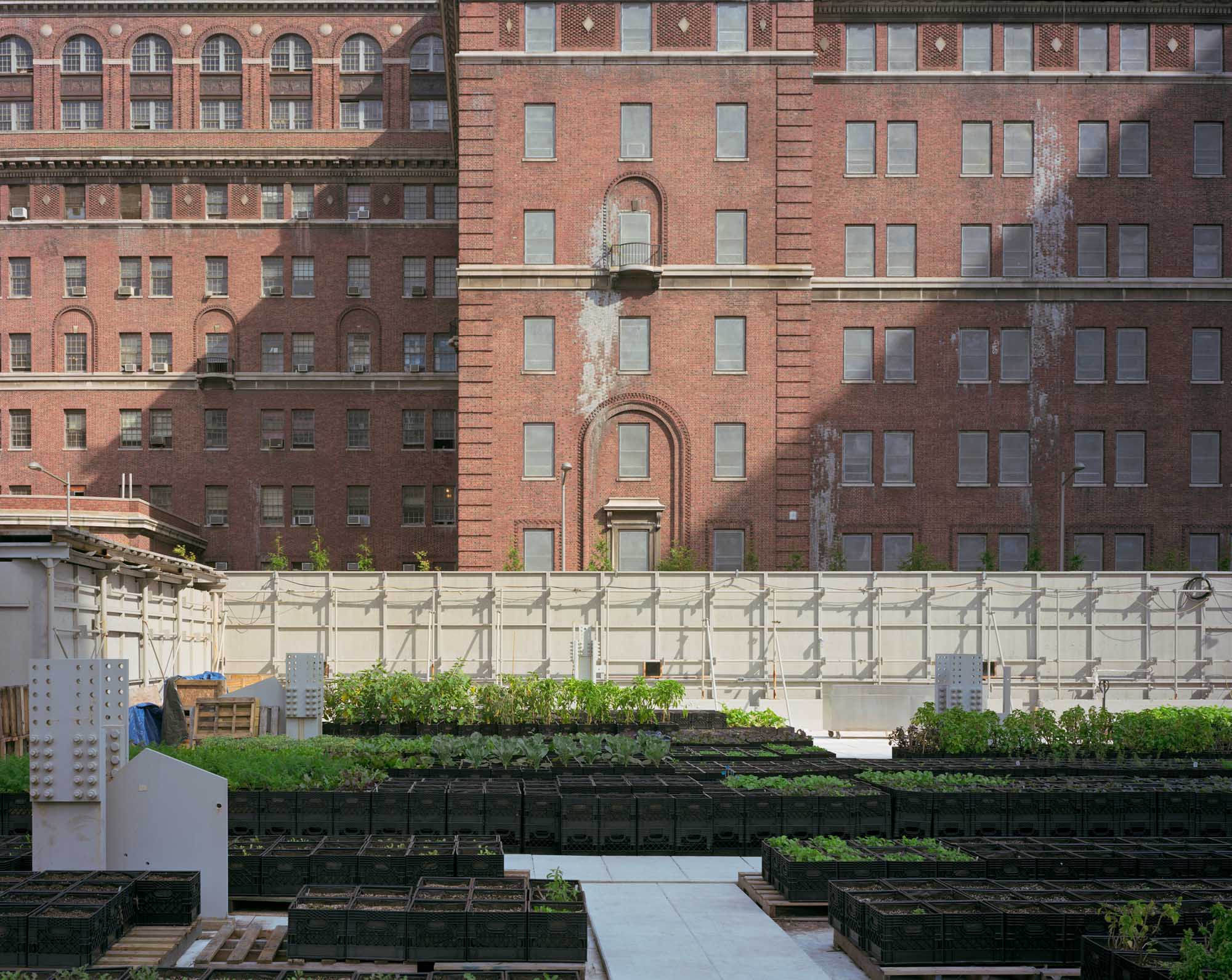 urban-agriculture-18.jpg