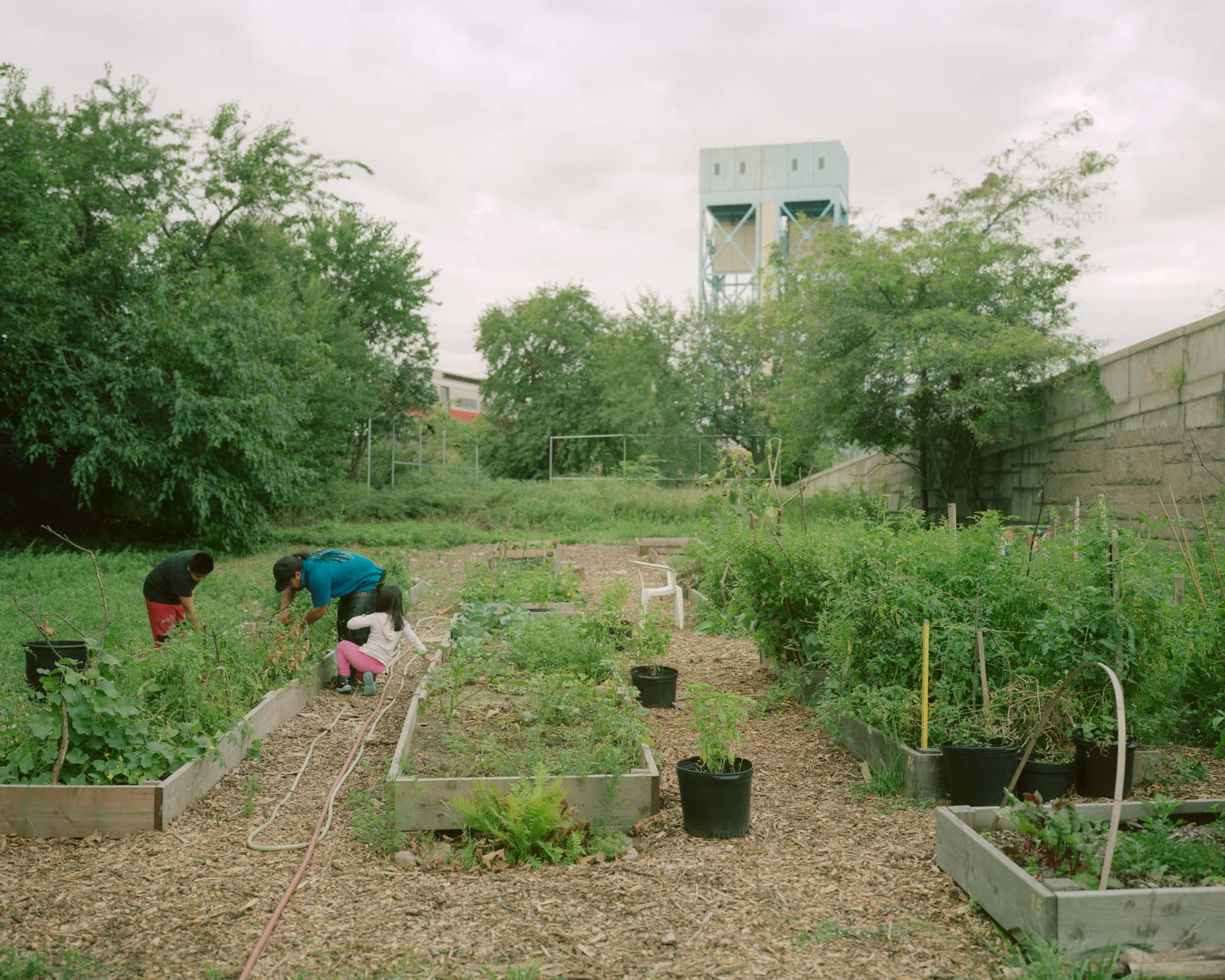 urban-agriculture-31.jpg