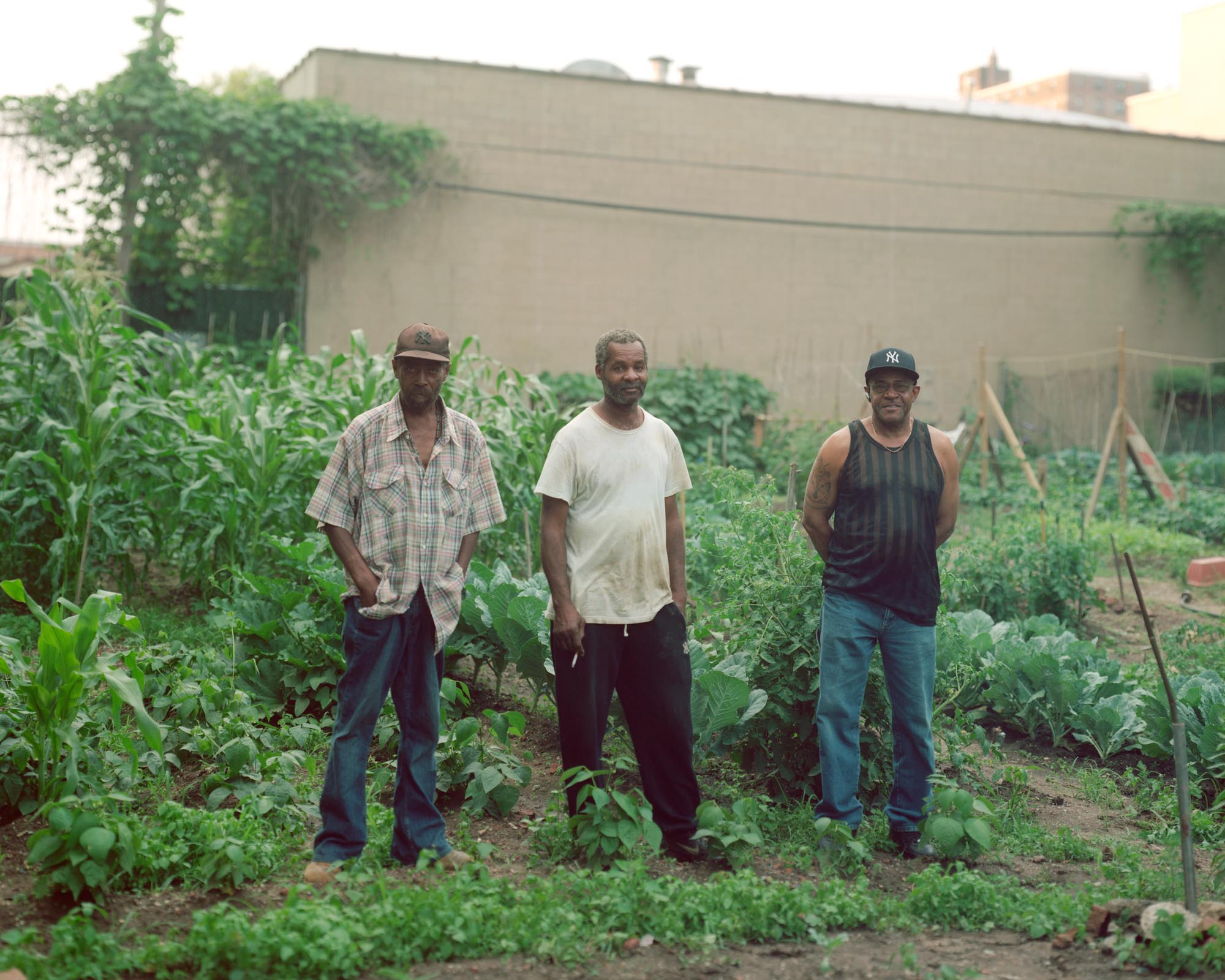 urban-agriculture-32.jpg