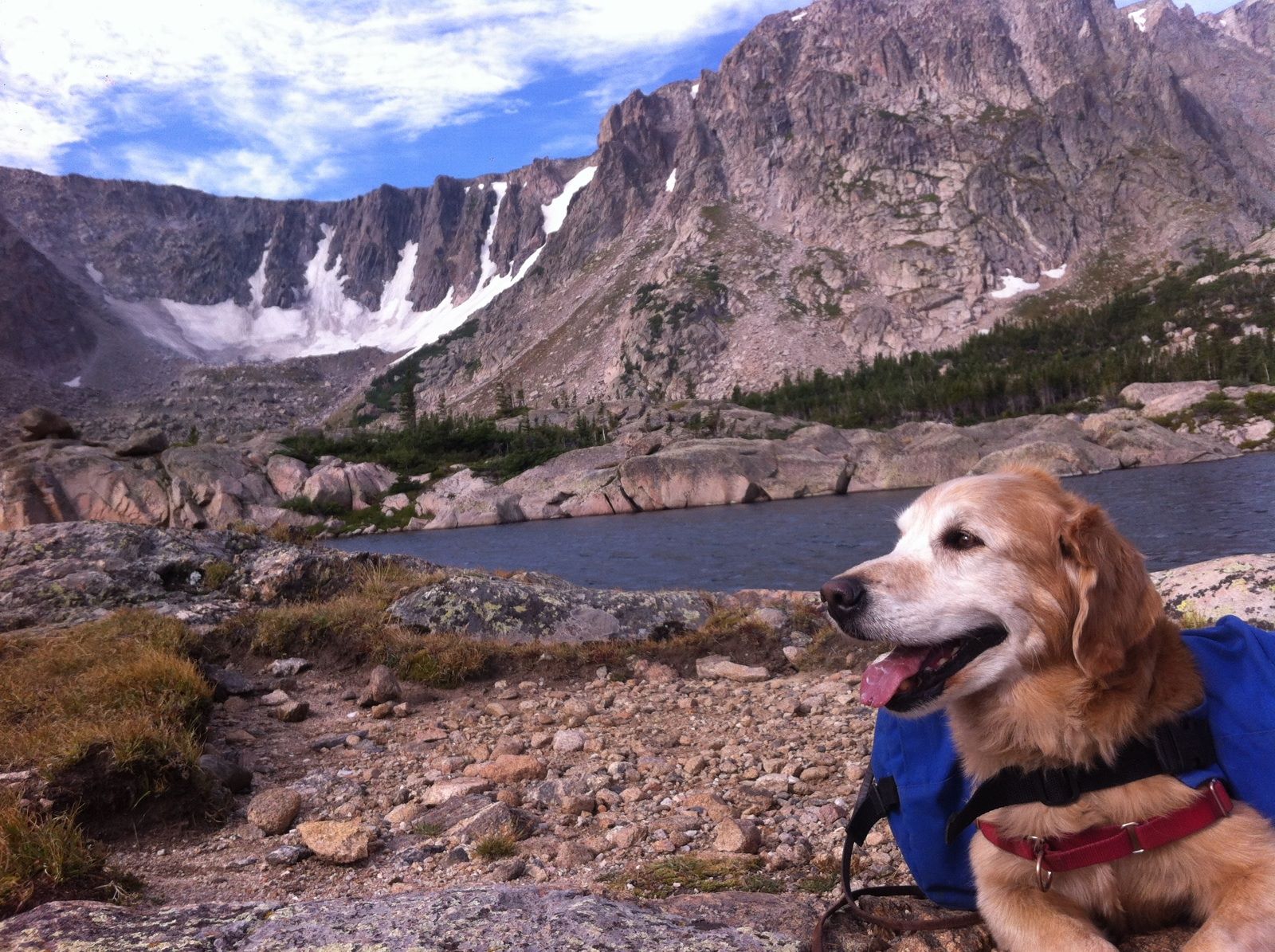 A well trained dog is a great hiking companion