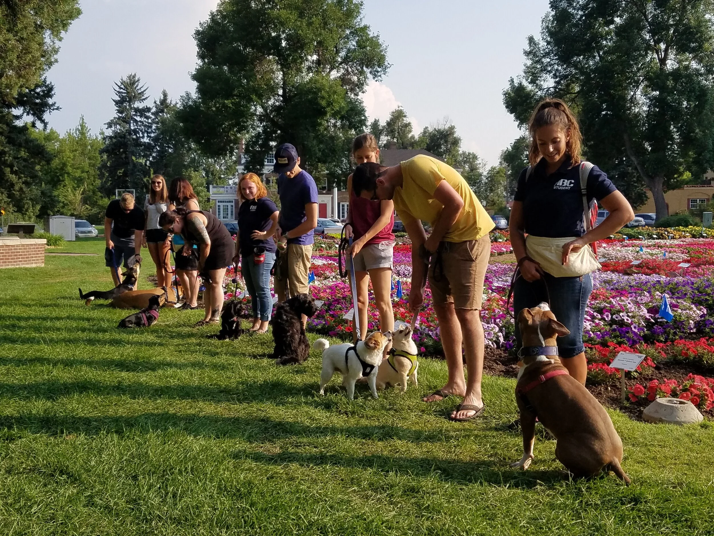 Teen Pups Out In the Park