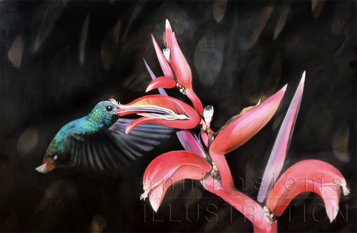 Oil on paper, symbiosis of hummingbird and plant.