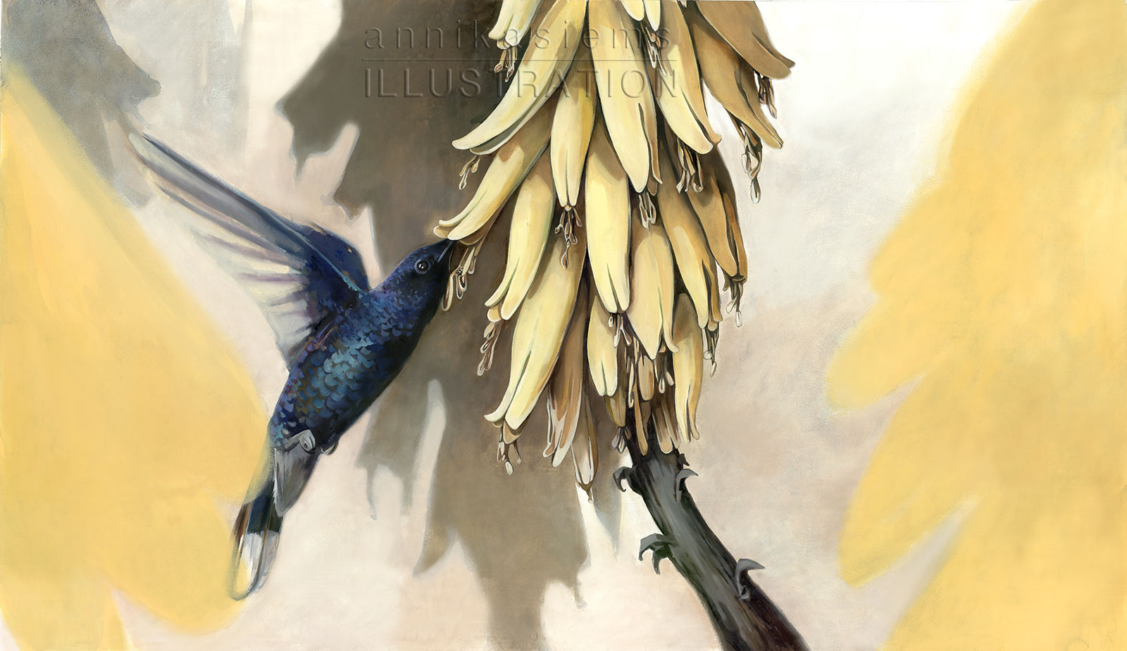 hummingsbird_symbiose_Kolibri_Mimikry©annikasiems_NaturIllustration.jpg