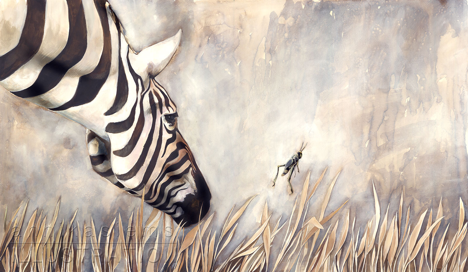 Zebra_©annikasiems_NaturIllustration.jpg
