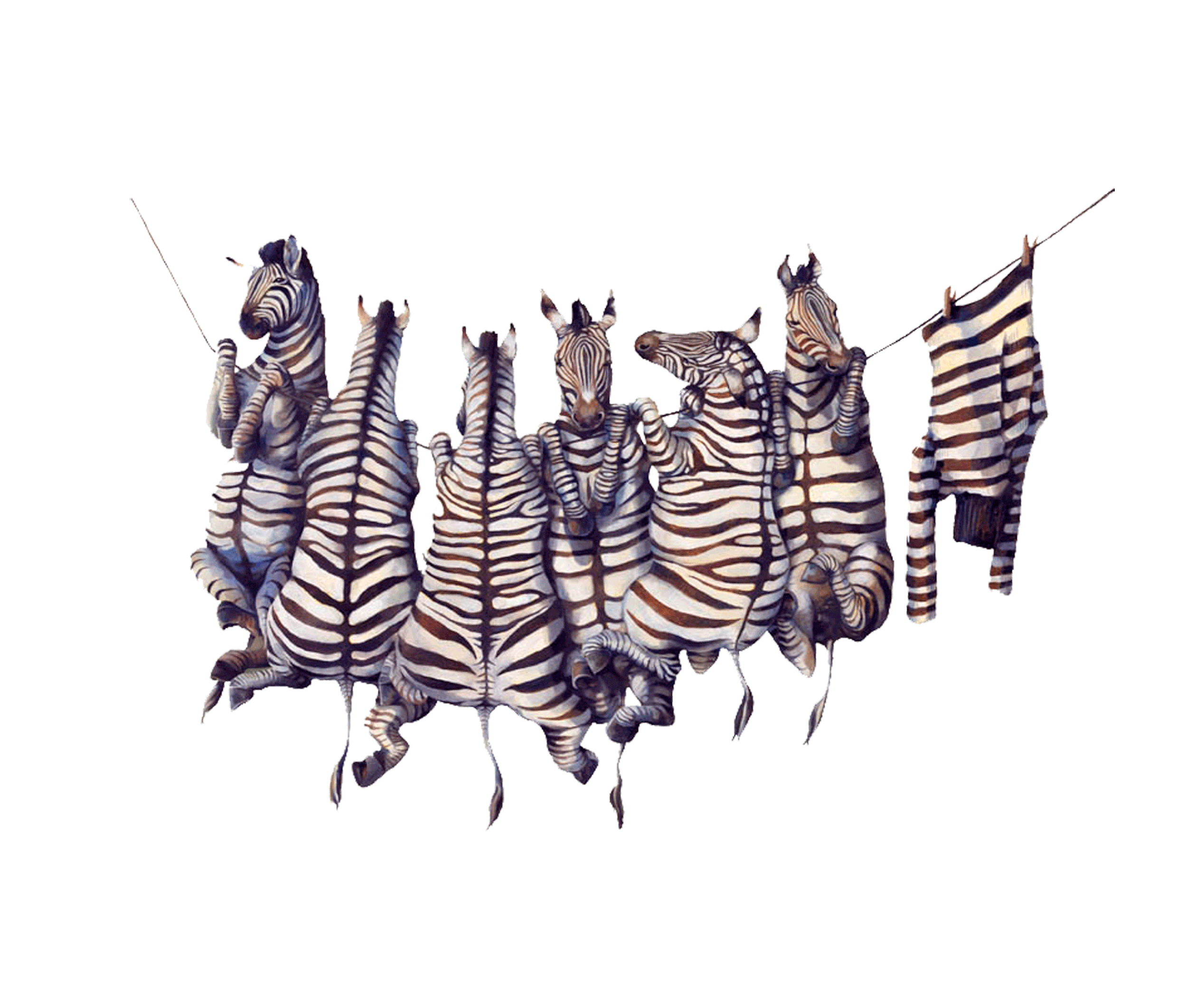 Zebravignette72dpi.gif