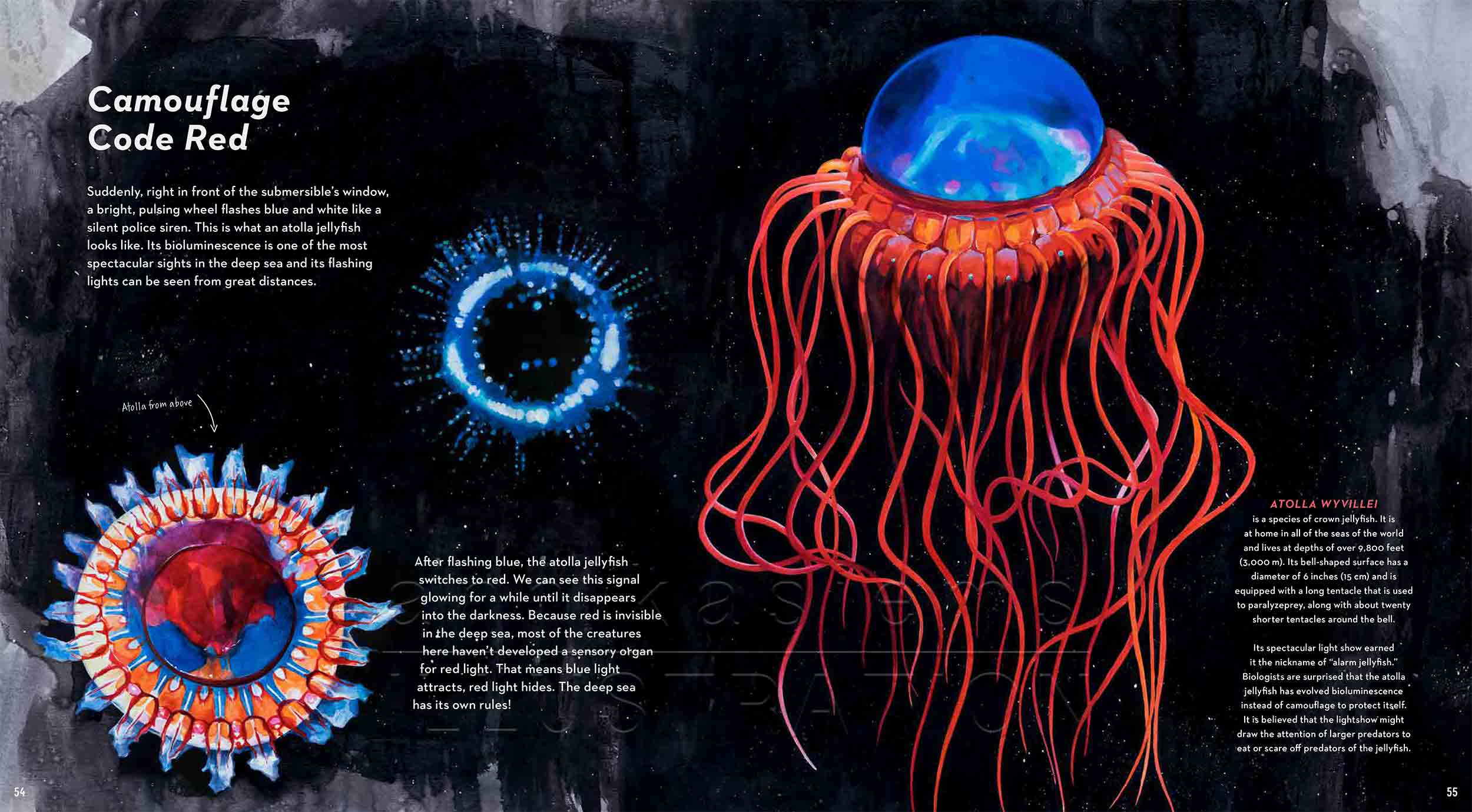 54-55Atolla-jellyfish-fish-deep-sea-Englisch-submersible-©annikasiems-plankton_deepsea-zooplankton.jpg