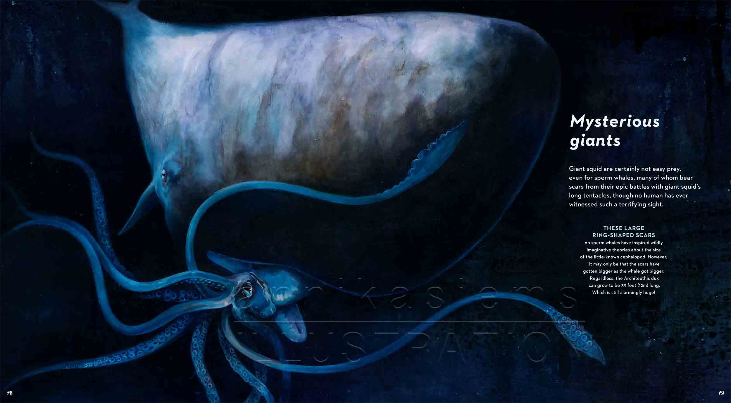78-79-spermwhale-giantsquid-deep-sea-Englisch-submersible-©annikasiems-plankton_deepsea-zooplankton.jpg