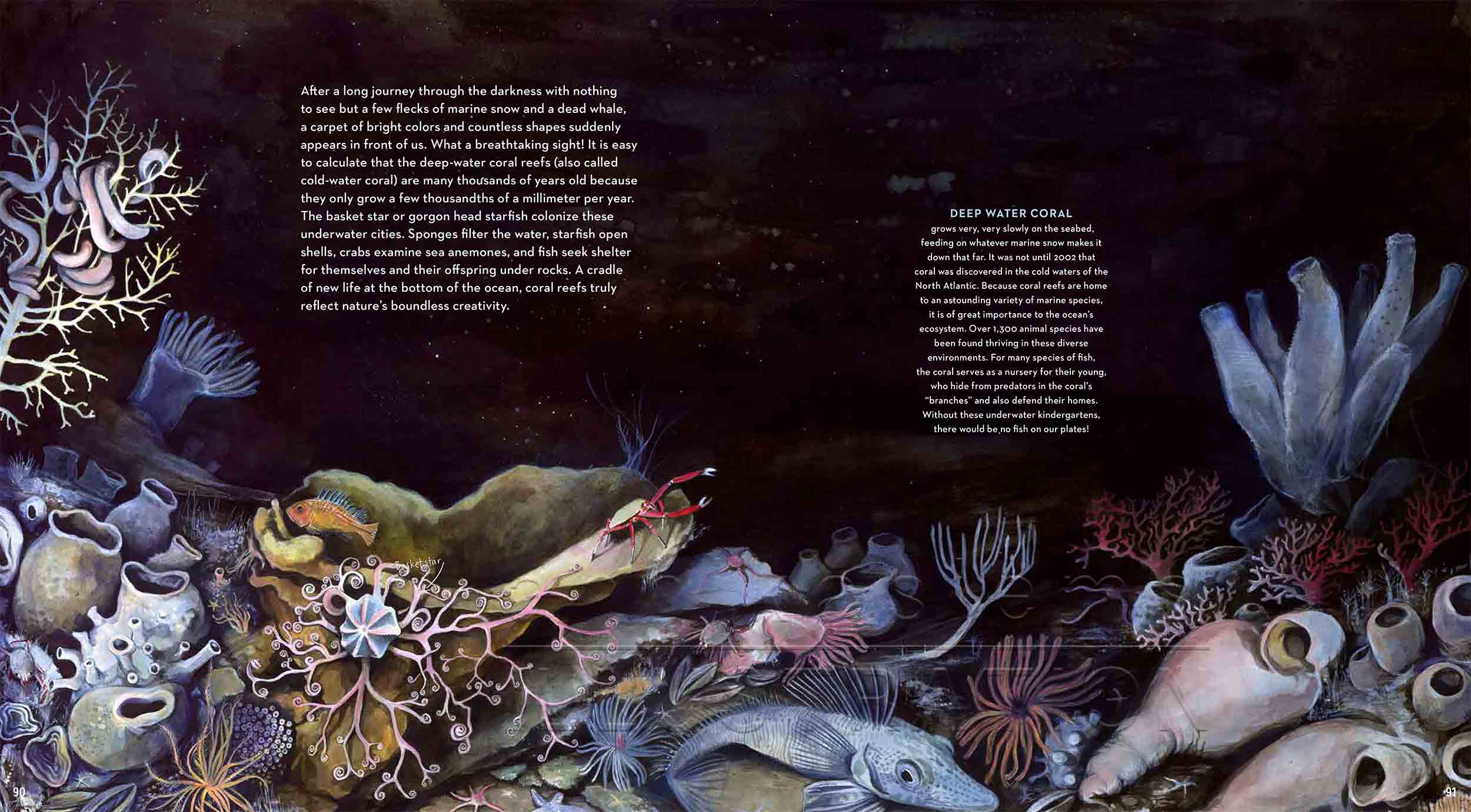 90-91-coralreef-seabed-deep-sea-Englisch-submersible-©annikasiems-plankton_deepsea-zooplankton.jpg